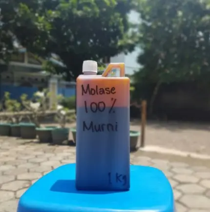 Molase / molasses / tetes tebu untuk probiotik ternak ikan
