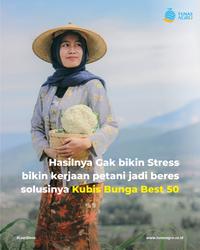 Gambar BENIH KUBIS BUNGA BEST-50 F1 Kemasan Urban Farming dari Tunas Agro Persada Kab. Demak 3 Tokopedia