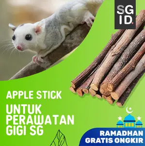 Natural Apple Orchard Chew Sick, Kayu Apel Perawatan Gigi Sugar Glider