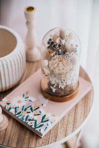 Gambar Mikkawa 三河 dari AMORA Gift Shop Kota Bandung 4 Tokopedia