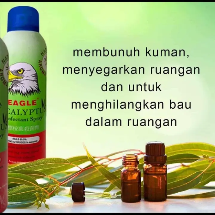 DISINFECTANT SPRAY Eagle Eucaliptus & Desinfectant Alkohol 80% 1