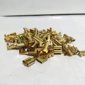 SKUN GEPENG BESAR/TERMINAL KLAKSON CEWE