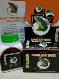 Gambar Kapsul Minyak Ikan Gabus Bio Albumin dari Hidayah Herbal official Kab. Bekasi 2 Tokopedia