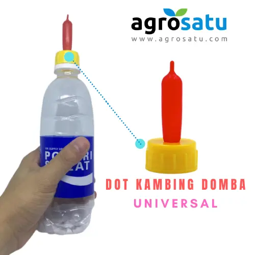 Dot Cempe Anak Kambing Domba Dengan Tutup Botol Universal
