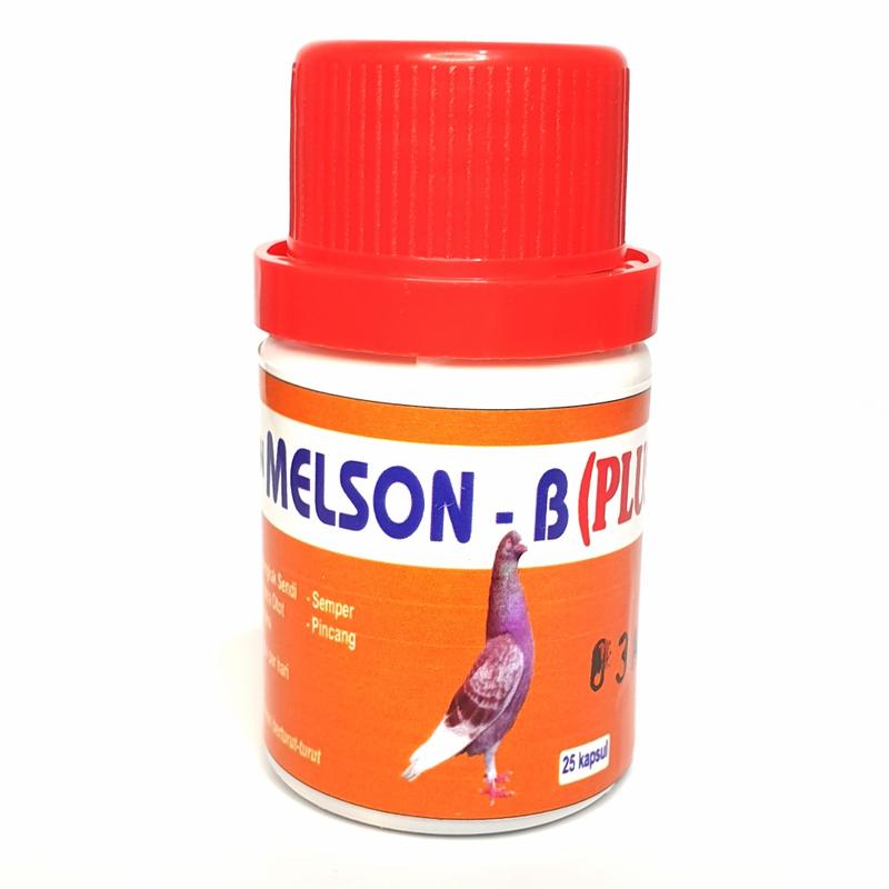 MELSON B PLUS ISI 25 0