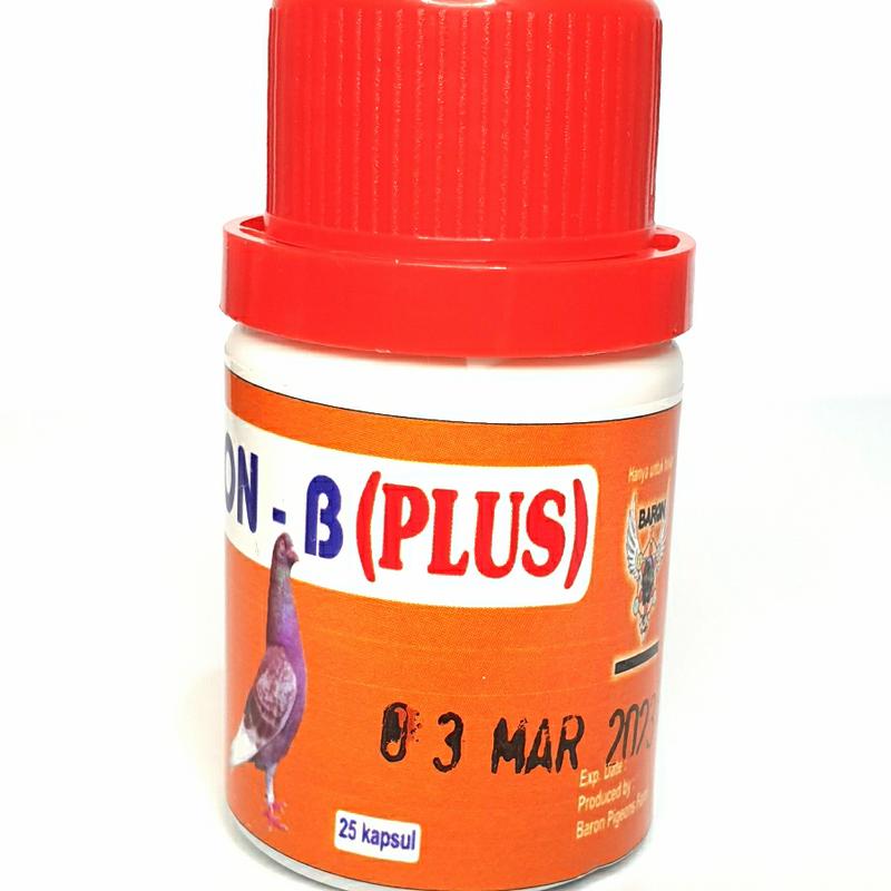 MELSON B PLUS ISI 25 2