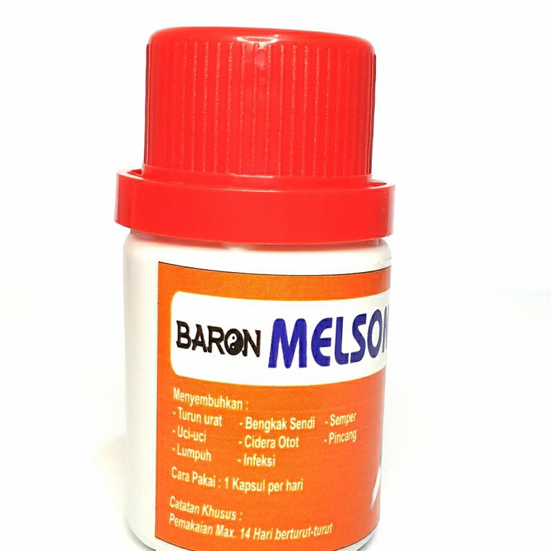 MELSON B PLUS ISI 25 3