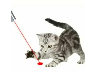 LASER LED 3 IN 1 MAINAN KUCING LASER PEN LASER POINTER