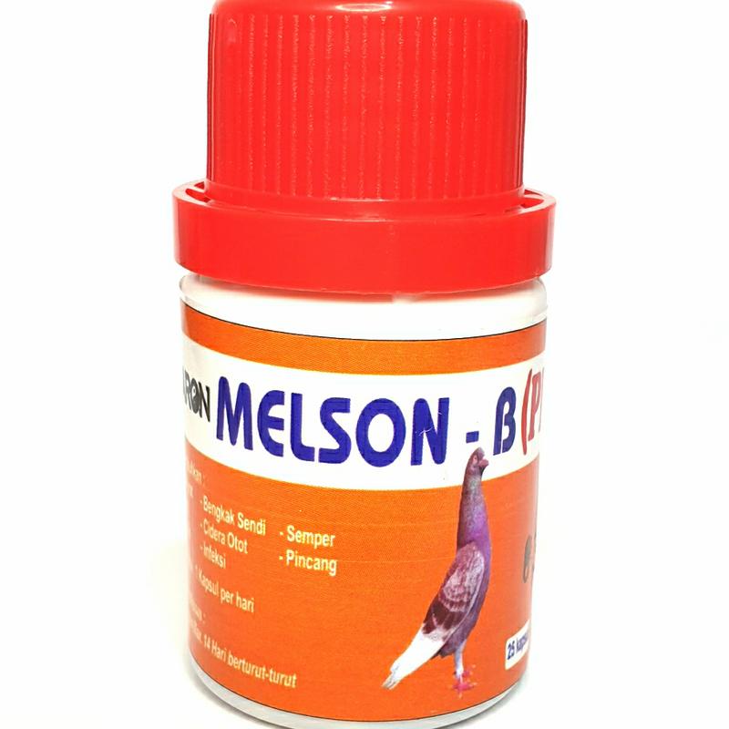 MELSON B PLUS ISI 25 1