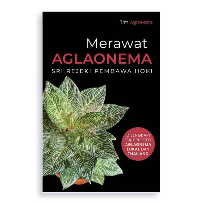 Gambar Merawat Aglaonema - Tim Agromate - AgroMedia dari Republikfiksi Kota Administrasi Jakarta Selatan Tokopedia