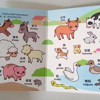 Gambar Buku Kosakata Bergambar Bilingual Mandarin English - pengenalan kosakata awal buat anak-anak Baby's First Words Set  17x17cm 20 Halaman - Biru dari Mandarin Go Kota Tangerang 2 Tokopedia