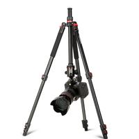 Gambar Beike Q530 Tripod Proffesional For DSLR Mirrorless HP Garansi Resmi dari Astra Foto Kota Administrasi Jakarta Pusat 4 Tokopedia