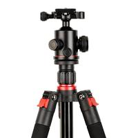 Gambar Beike Q530 Tripod Proffesional For DSLR Mirrorless HP Garansi Resmi dari Astra Foto Kota Administrasi Jakarta Pusat 5 Tokopedia