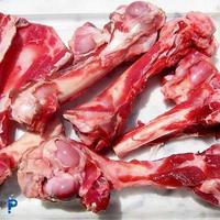 Gambar Tulang Sum Sum Kambing - 500 Gram dari Pasar Online Kebayoran Kota Administrasi Jakarta Selatan 2 Tokopedia