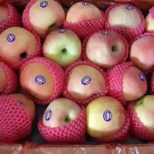 Buah Apel Fuji Premium Fresh