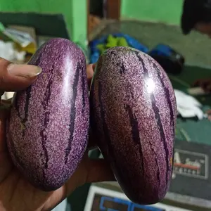 buah Pepino 1 kg