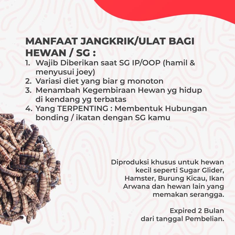 Paket hemat 3, Nutrisi Praktis Jangkrik Ulat Jerman & Hongkong Kering 2