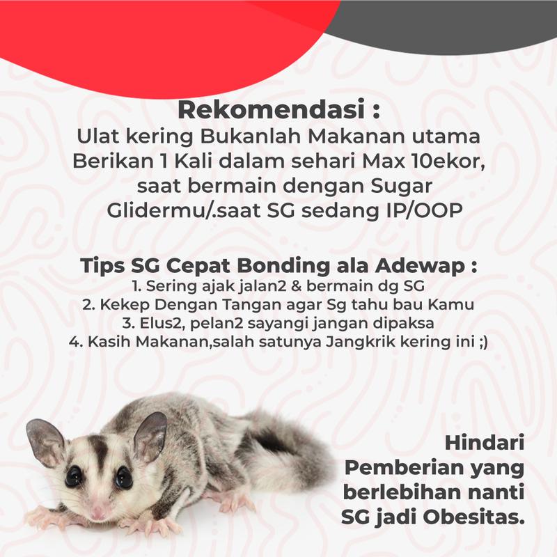 Paket hemat 3, Nutrisi Praktis Jangkrik Ulat Jerman & Hongkong Kering 3
