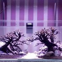 Gambar Aquascape Natural style dari AquaGift Project Kota Tangerang 3 Tokopedia