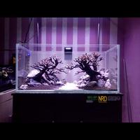 Gambar Aquascape Natural style dari AquaGift Project Kota Tangerang 5 Tokopedia