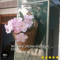 Gambar pot bunga anggrek sabut kelapa kerucut dari Omah Pot Kebumen Kab. Kebumen 2 Tokopedia