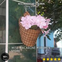 Gambar pot bunga anggrek sabut kelapa kerucut dari Omah Pot Kebumen Kab. Kebumen 1 Tokopedia