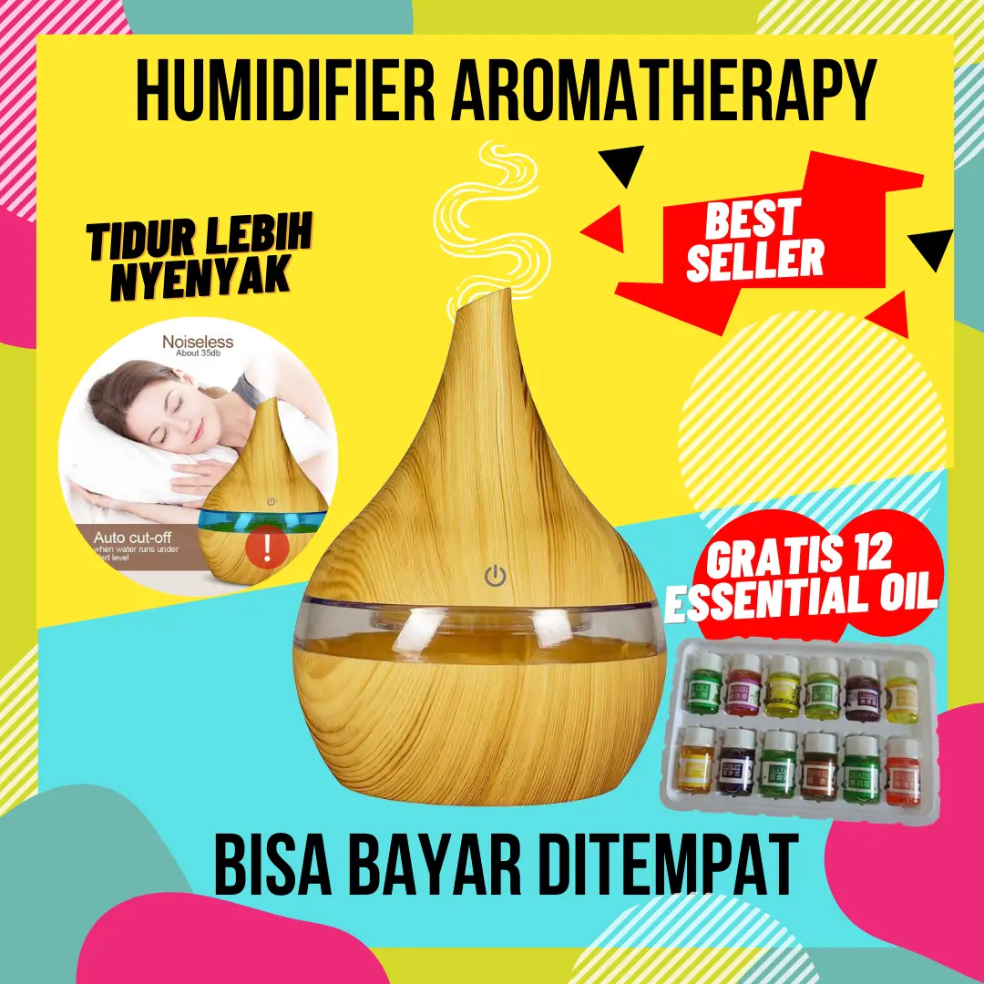Air Humidifier 300 ML Diffuser Pengharum Ruangan Aromaterapi Difuser
