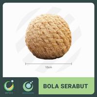 Gambar ZERO 2.5 BOLA SERABUT DIAMETER 10 CM - Ionizer Serat Alami Purifying dari igloohome.id Kota Administrasi Jakarta Utara 1 Tokopedia