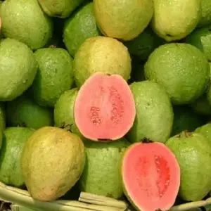 Jambu Biji Merah Segar Fresh