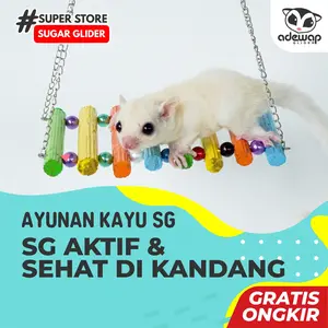 Ayunan Kayu mainan sugar glider tupai hamster Rantai Manik