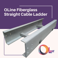 Gambar Cable Ladder; OLine; 300mm x 100mm x 3000mm dari Orindo Eratec Kota Tangerang 1 Tokopedia