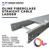 Gambar Cable Ladder; OLine; 300mm x 100mm x 3000mm dari Orindo Eratec Kota Tangerang 2 Tokopedia