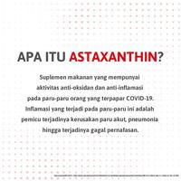 Gambar Astaxanthin Natural MPL Strip dari Biarfit Official Shop Kota Tangerang 3 Tokopedia