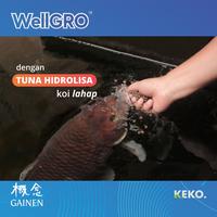 Gambar Pakan Koi WELLGRO growth M dari Pakan Koiku Kab. Bekasi 4 Tokopedia
