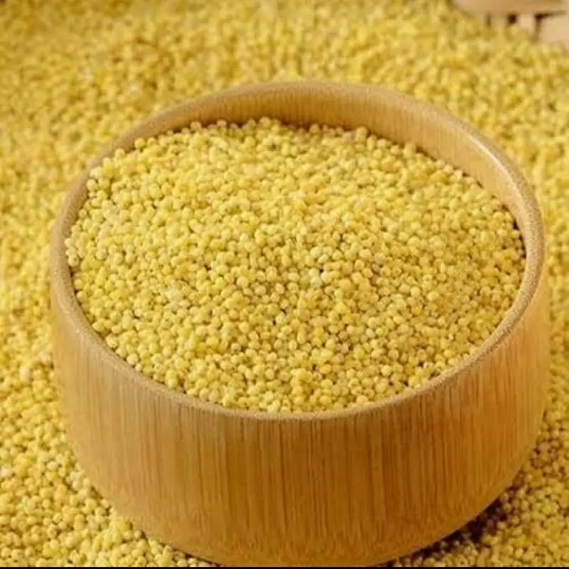 BIJI KUNYIT / BIJI JAWAK / JEWAWUT / SEKOI / FOXTAIL MILLET 250GR Makanan Bubur Granola 4