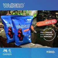 Gambar Pakan Koi - WELLGRO Growth 2 Kg (M) - Floating dari Keko Koi Kota Bekasi 5 Tokopedia