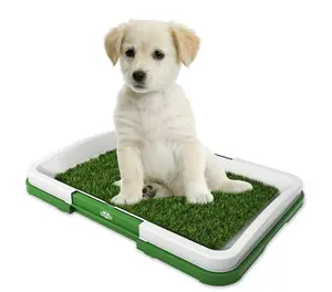 Tempat Pipis Anjing Puppy Potty Training PAD 321-43