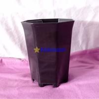 Gambar NKT Pagoda 10 Hitam untuk Bunga Tanaman dari Angkasapot Kota Tangerang 1 Tokopedia