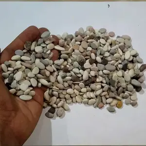 Batu Panca Warna Pancawarna Kerikil Hias Tanaman Aquarium Koral 500 Gr