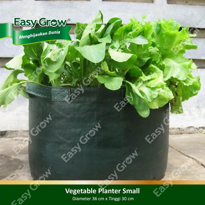 Gambar EASY GROW Vegetable Planter Small dari Easy Grow_NEW Kab. Gunungkidul Tokopedia
