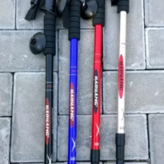 trekingpole trackingpole hiking running handle T
