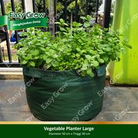 Gambar EASY GROW Vegetable Planter Large dari Easy Grow Kab. Gunungkidul 1 Tokopedia