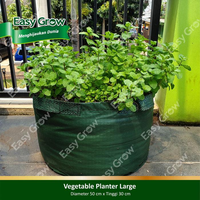 Gambar EASY GROW Vegetable Planter Large dari Easy Grow Kab. Gunungkidul Tokopedia