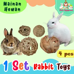 BOLA MAINAN KELINCI MARMUT CHINCHILLA ISI 4PCS/RABBIT TOYS/RABBIT BALL