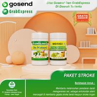 Gambar Obat Stroke | Obat Stroke Ringan | Obat Stroke Berat dari DeNature Sehat Kota Surabaya 2 Tokopedia