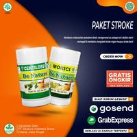 Gambar Obat Stroke | Obat Stroke Ringan | Obat Stroke Berat dari DeNature Sehat Kota Surabaya 1 Tokopedia