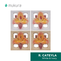 Gambar Roster Keramik Lubang Angin Mukura Cateyla 30x30cm - White dari Roster Granit Mukura Kota Administrasi Jakarta Utara 3 Tokopedia