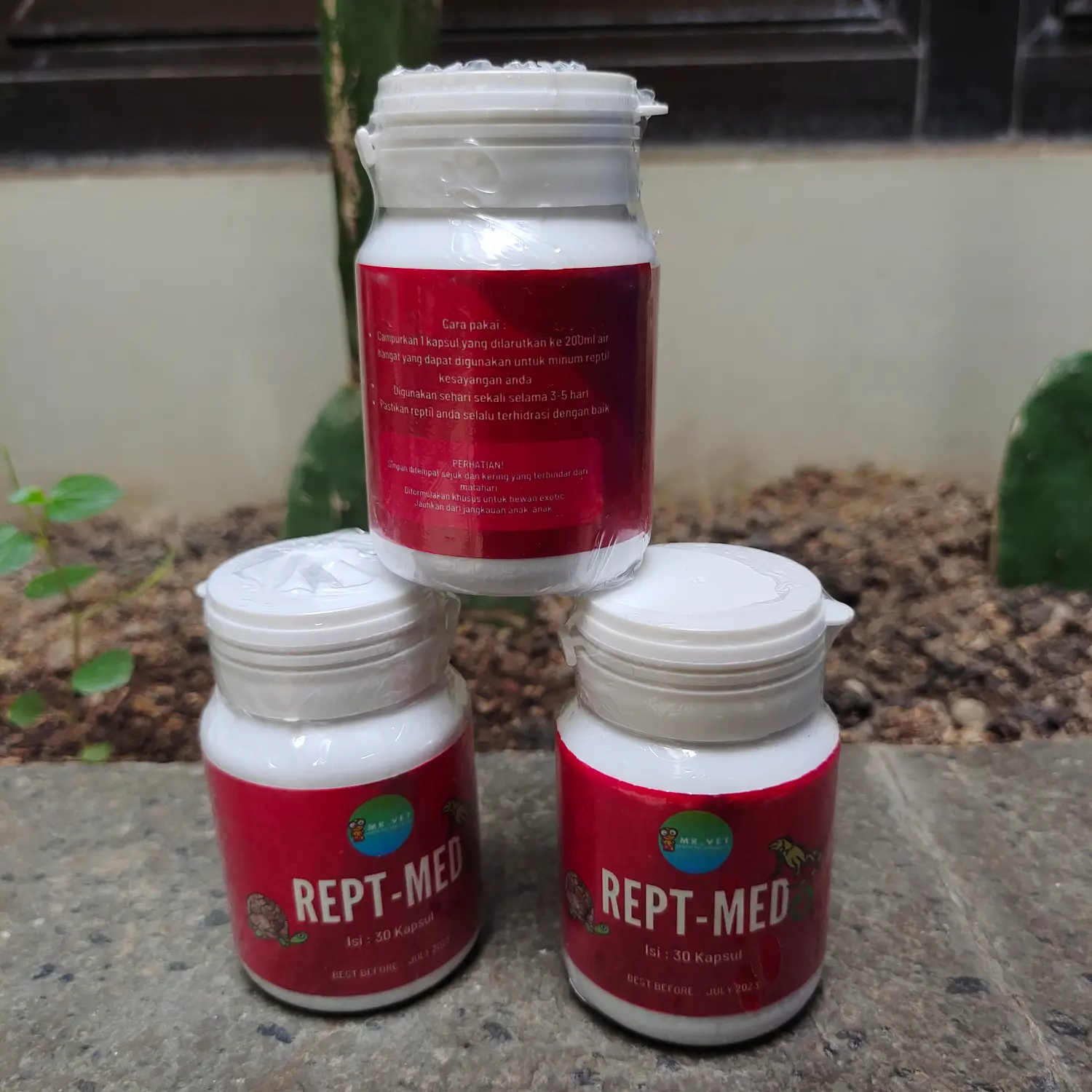 Rept Med eceran Mr Vet/Obat reptil TORTO lemas pilek mencret phenomoni