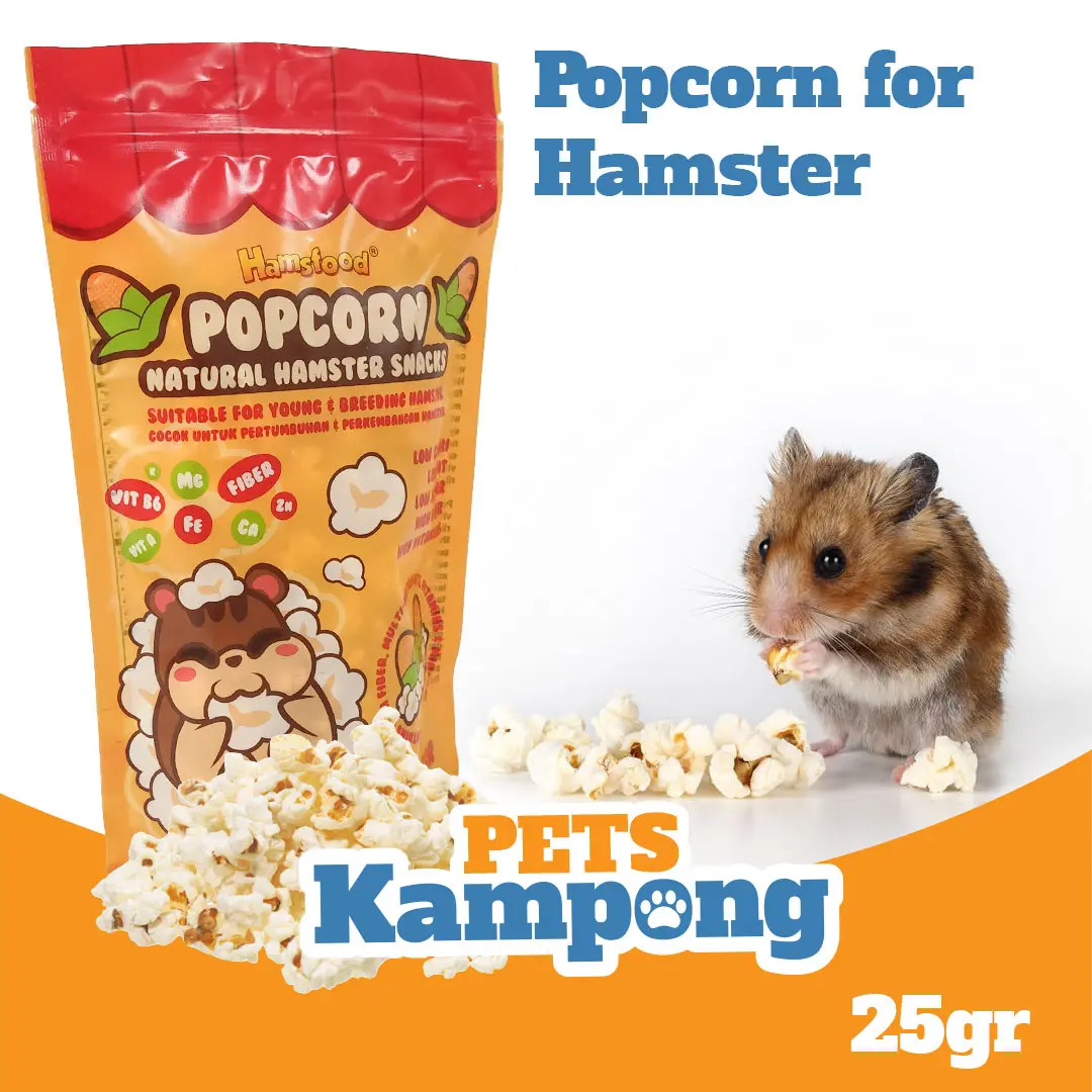 Makanan snack popcorn hamster