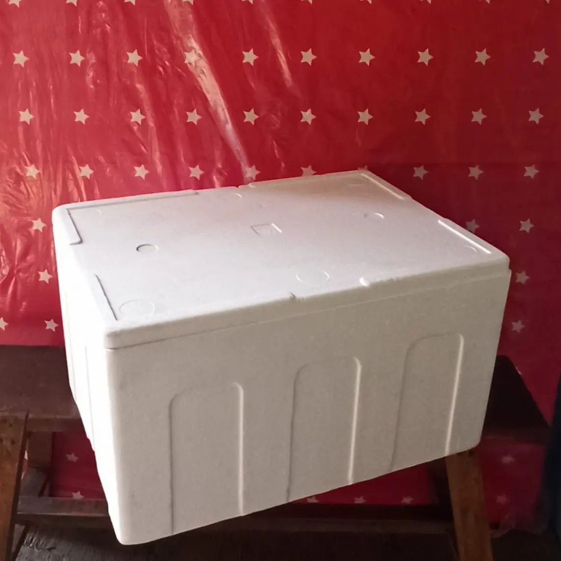 Box gabus / cooler box / box penahan dingin / box 60 kg / 70x49x40